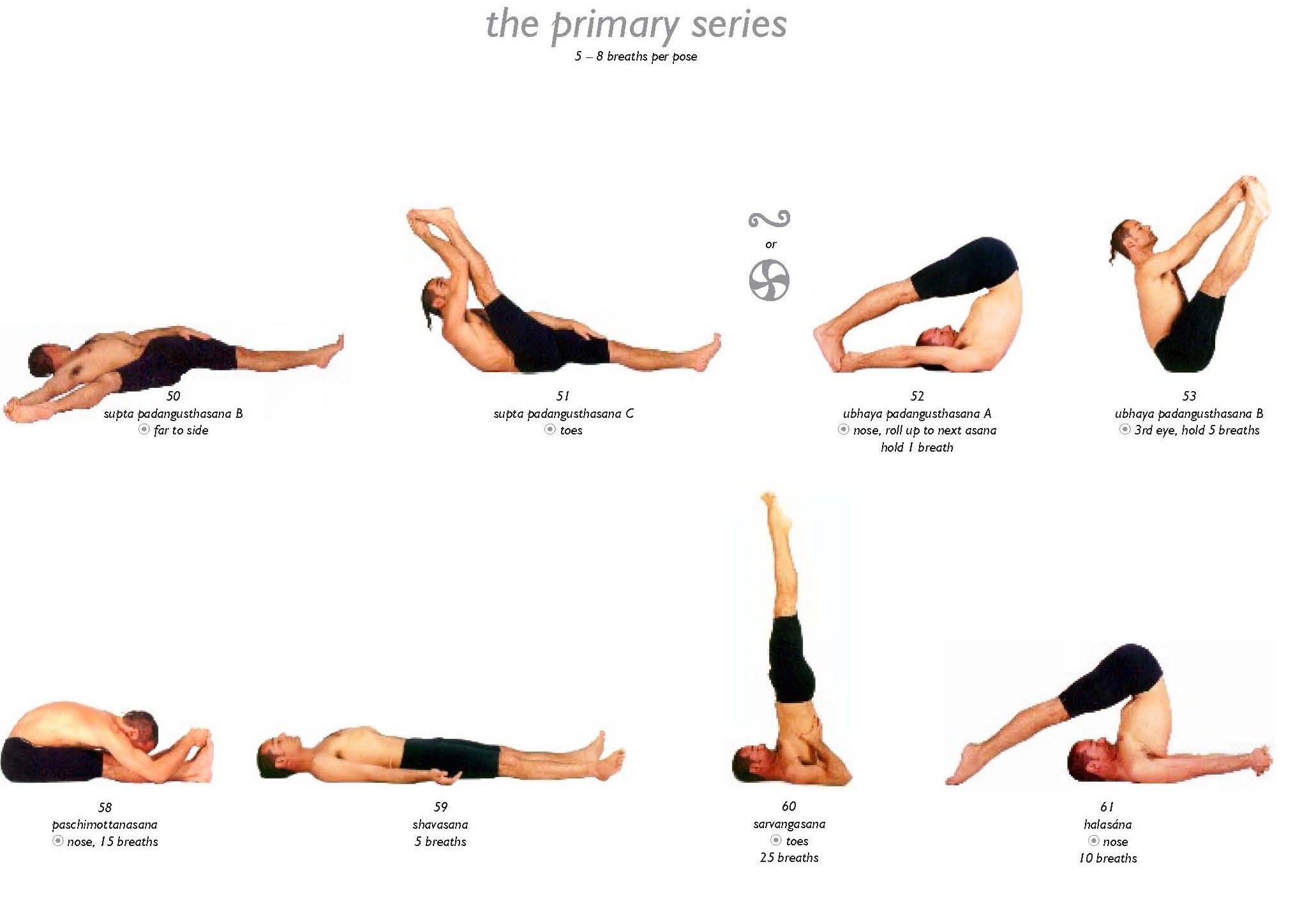 and sitting  And Sequencing yoga Yoga Names Poses poses Sitting asanas sitting names