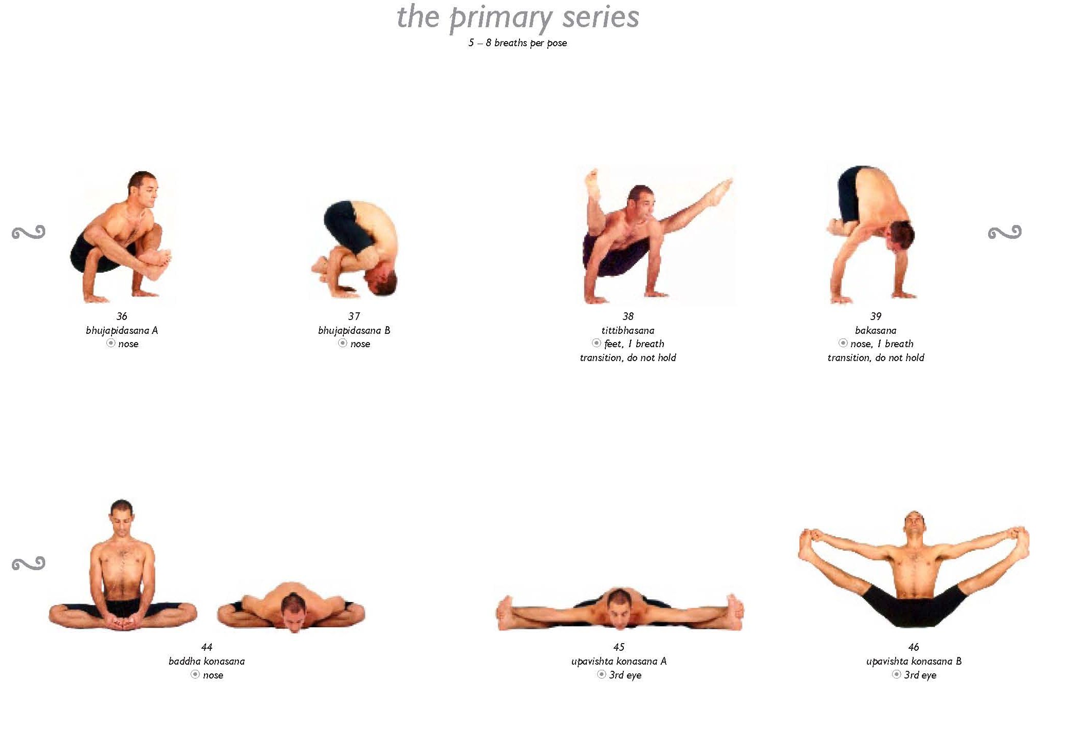 The 20 Most Important Yoga Poses for Beginners - YOGA PRACTICE
